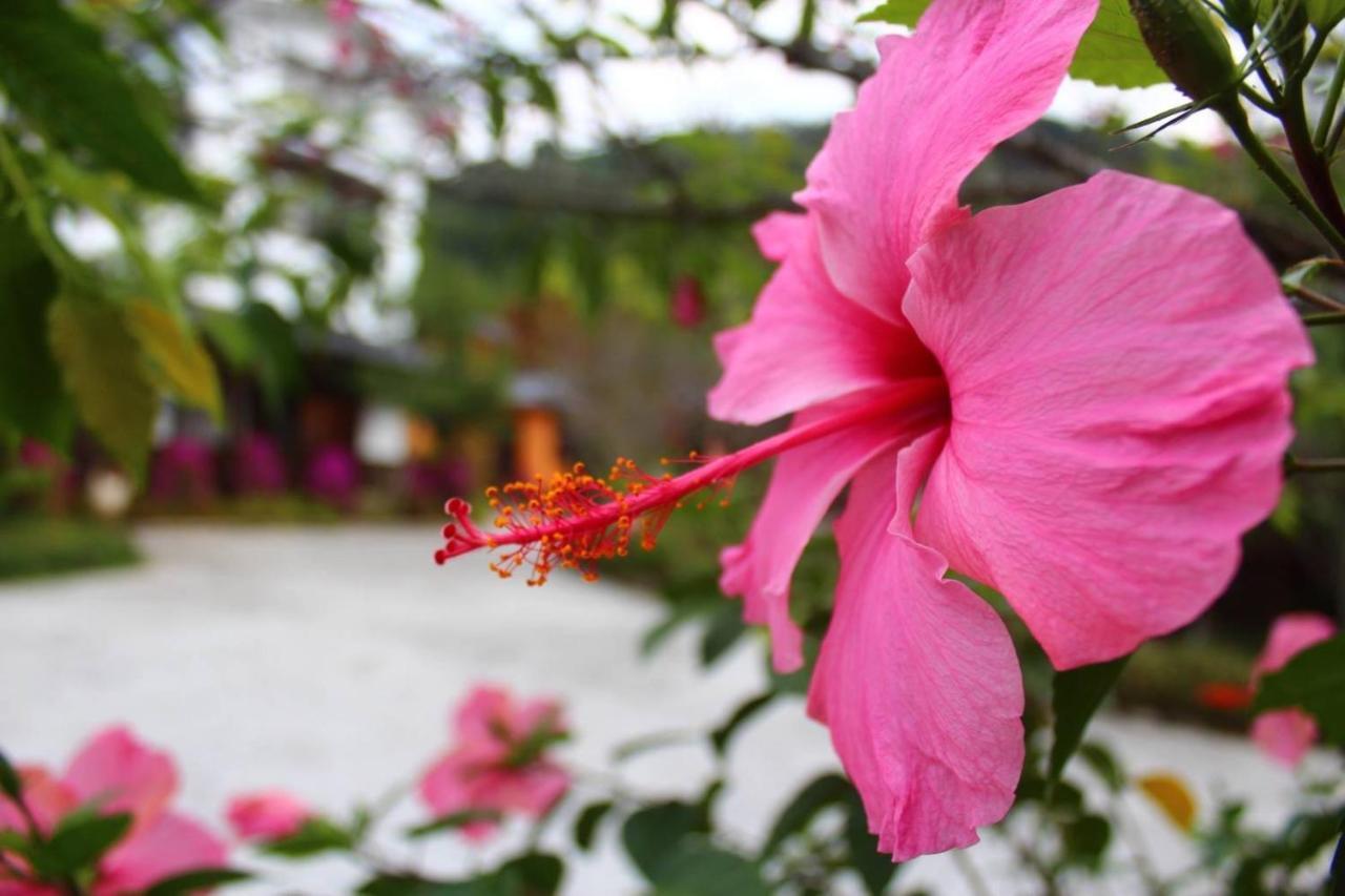 埔里夏都華蔓山林日式會館 Puli Huaman Villa Exteriör bild